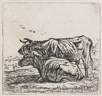 KG 03464
<br/>
Twee koeien
<br/>
<em>Cuyp, Aelbert (1620-1691)</em>